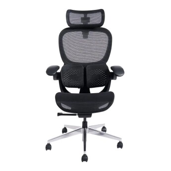 Ghế công thái học Epione SynoChair (Chính hãng)