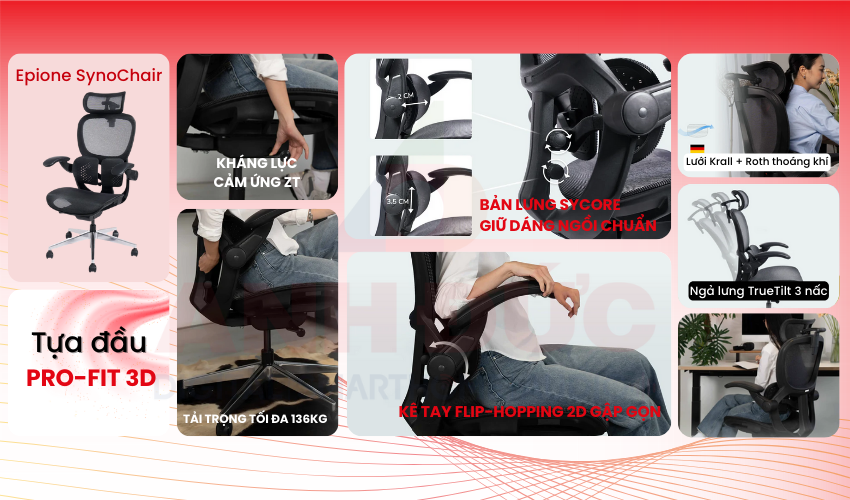 Ghế c&ocirc;ng th&aacute;i học Epione SynoChair