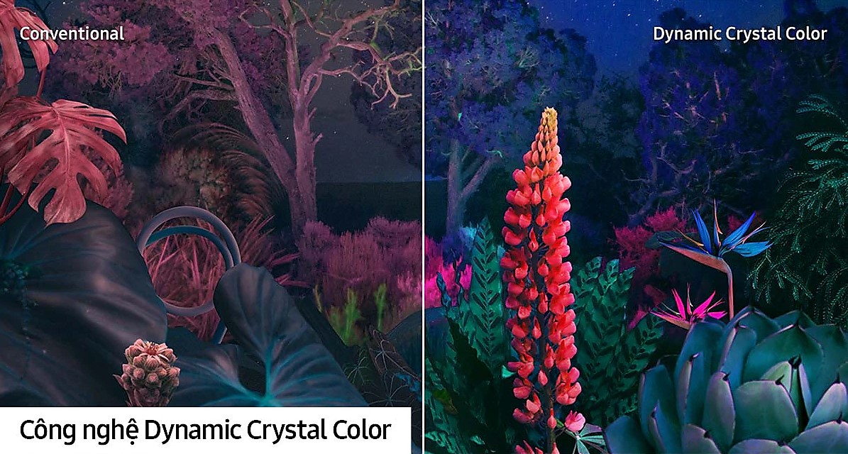 Tái hiện hình ảnh với một tỷ sắc màu thuần khiết