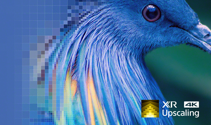 Nâng cấp tín hiệu 4K XR