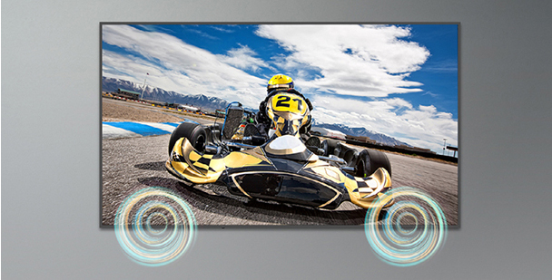 Màn hình chuyên dụng LG 110UM5K 17