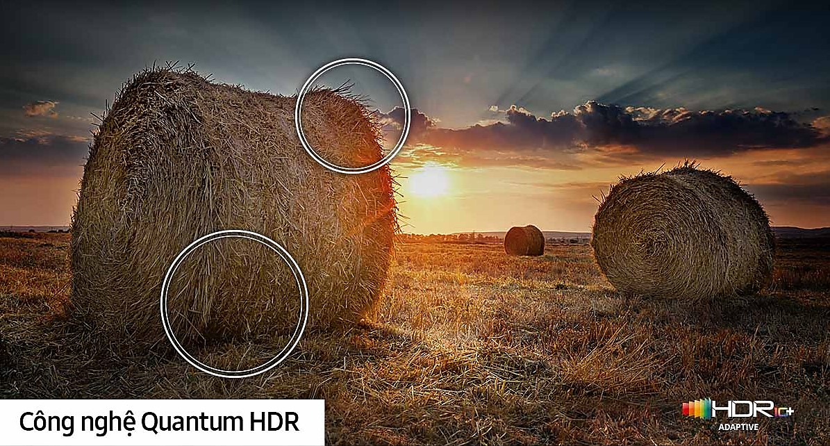 Tái hiện từng sắc thái điện ảnh với dải tương phản rộng