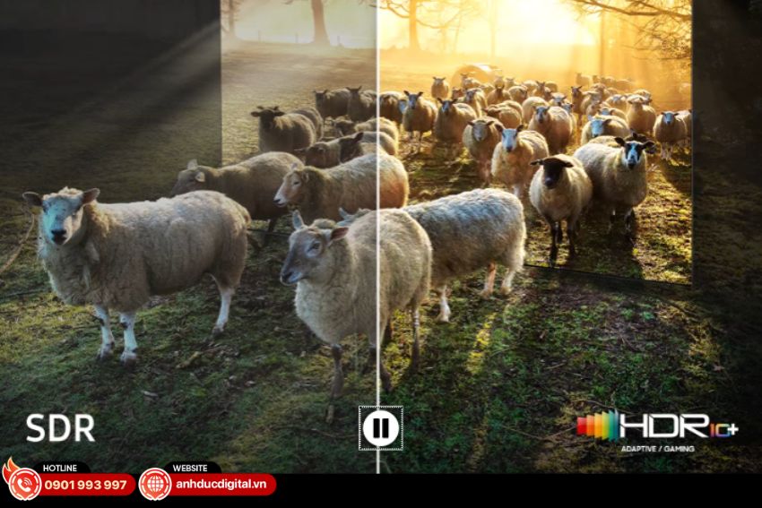 Neo Quantum 8K HDR Pro