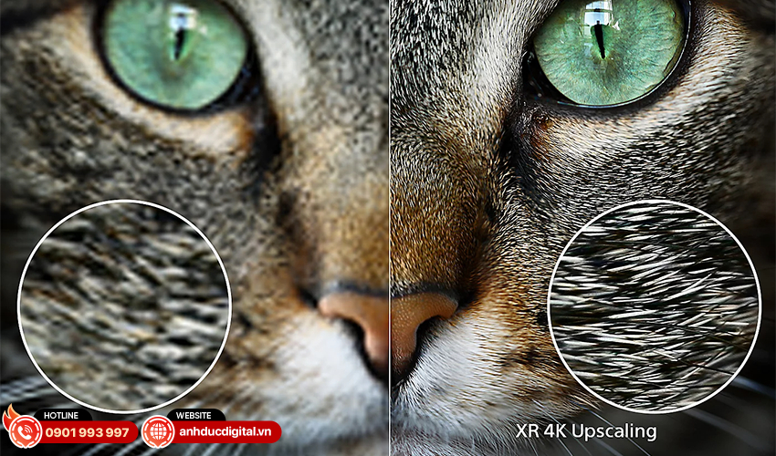 Sony OLED 4K 77 inch XR-77A80L 3