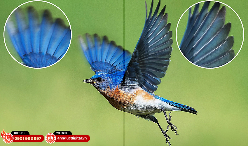 Sony OLED 4K 77 inch XR-77A80L 4