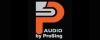 ProSing