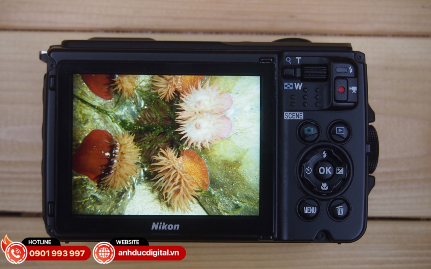 W300 cho phép quay video UHD 4K/30p với chất lượng hình ảnh sắc nét