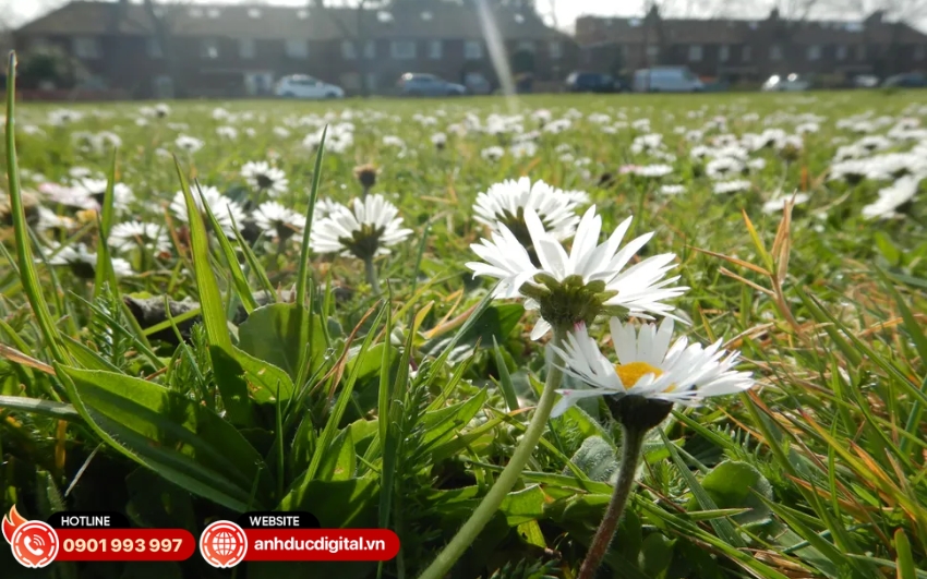 Máy ảnh Nikon COOLPIX W300 đi kèm chế độ Chân dung Thông minh và Chỉnh sửa ảnh Quyến rũ