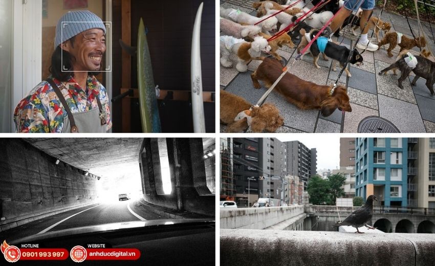 may-anh-ricoh-gr-iv-hdf-14