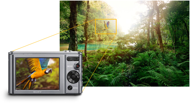 Sony DSC-W810 2