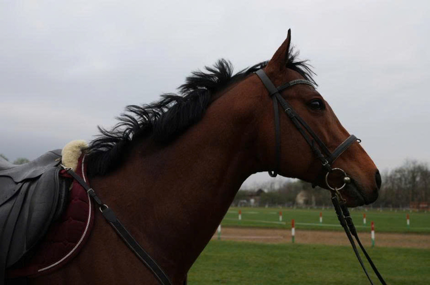 Ảnh chụp từ máy Sony RX1R 3