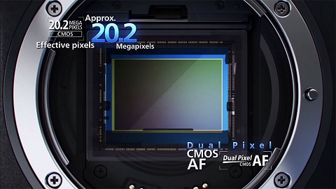 Canon EOS-1DX Mark II 1