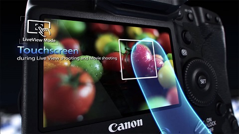 Canon EOS-1DX Mark II 3