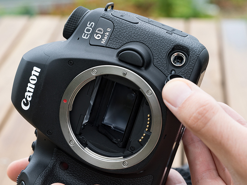 Canon 6D Mark II 14