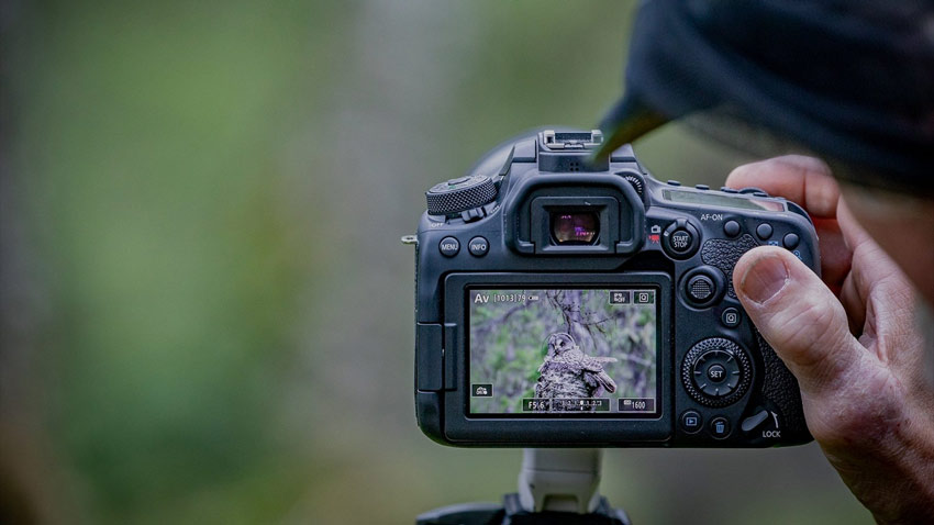 Canon EOS 90D 5