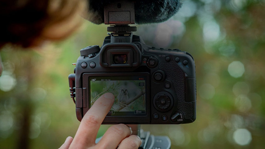 Canon EOS 90D 6