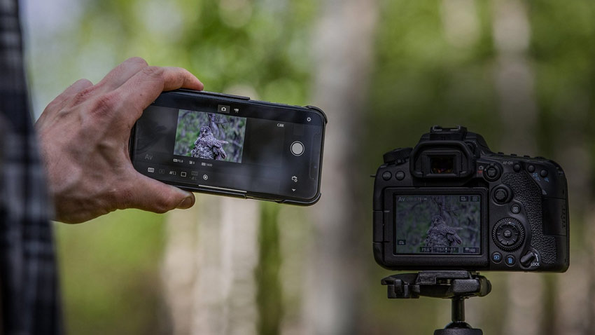 Canon EOS 90D 7