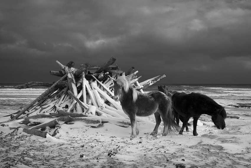 Leica M Monochrom Typ 246 7