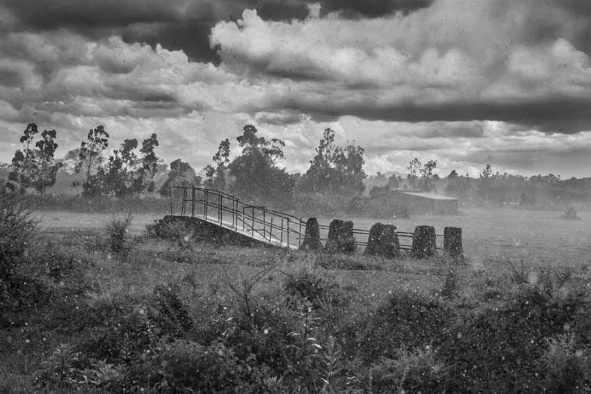 Leica M Monochrom Typ 246 8