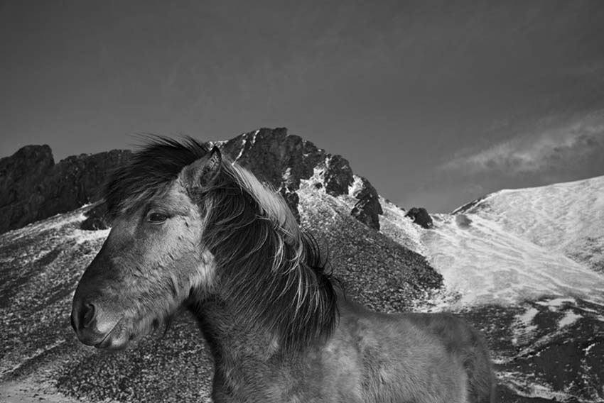 Leica M Monochrom Typ 246 10