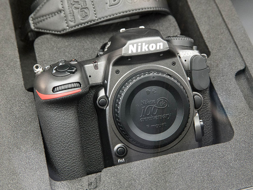 Nikon D5 100th 4