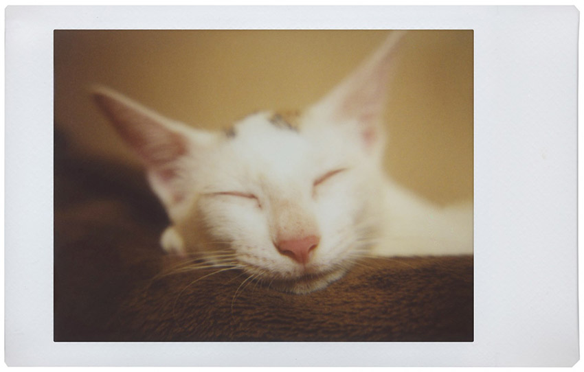 Lomography Lomo'Instant Automat 8