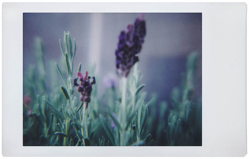 Lomography Lomo'Instant Automat 10