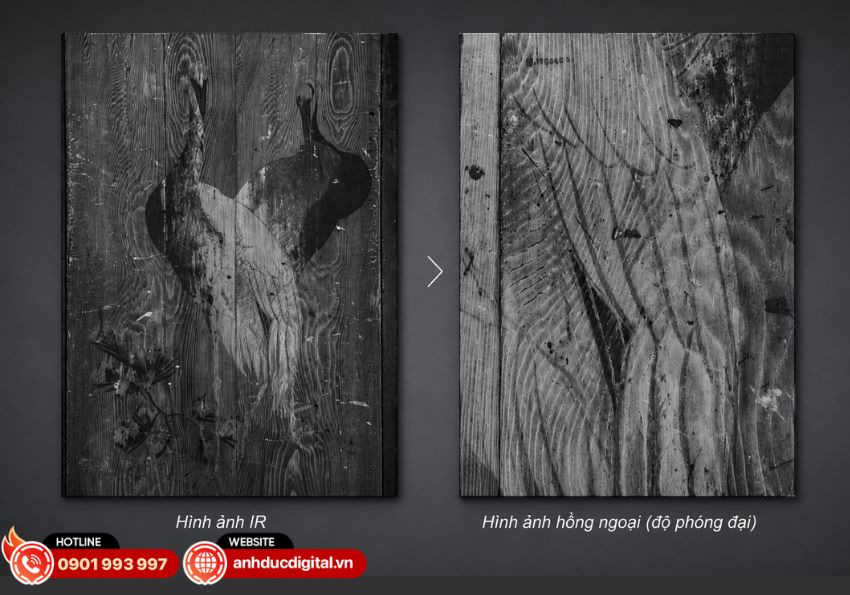 GFX100 II IR c&oacute; thể hỗ trợ người d&ugrave;ng quan s&aacute;t v&agrave; ph&acirc;n t&iacute;ch c&aacute;c đặc điểm m&agrave; h&igrave;nh ảnh th&ocirc;ng thường kh&ocirc;ng thể hiện r&otilde;
