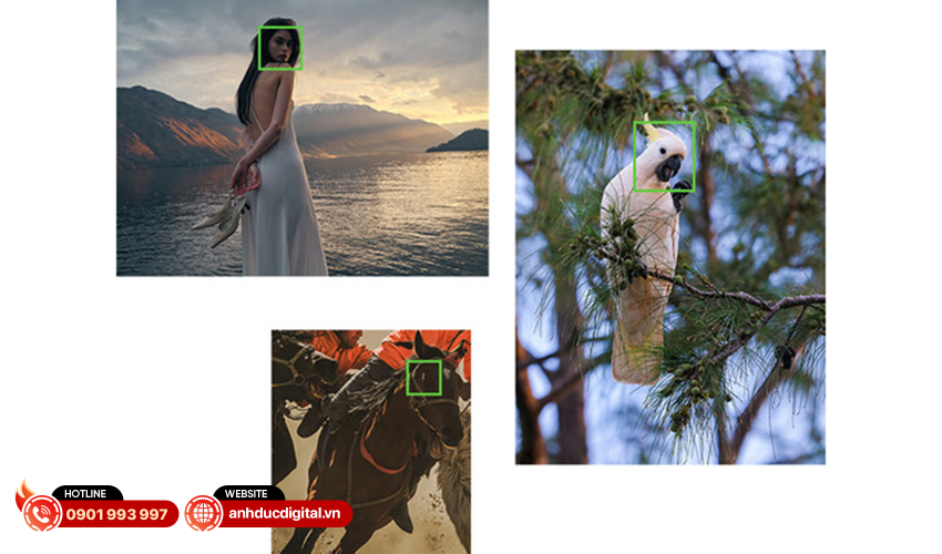 Fujifilm GFX 100S II 23