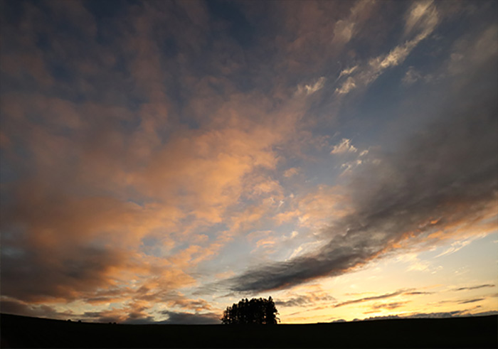 Canon EOS M50 Mark II 4