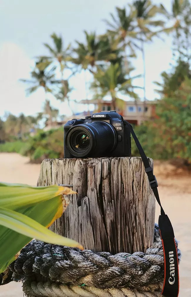 Canon EOS R10 8