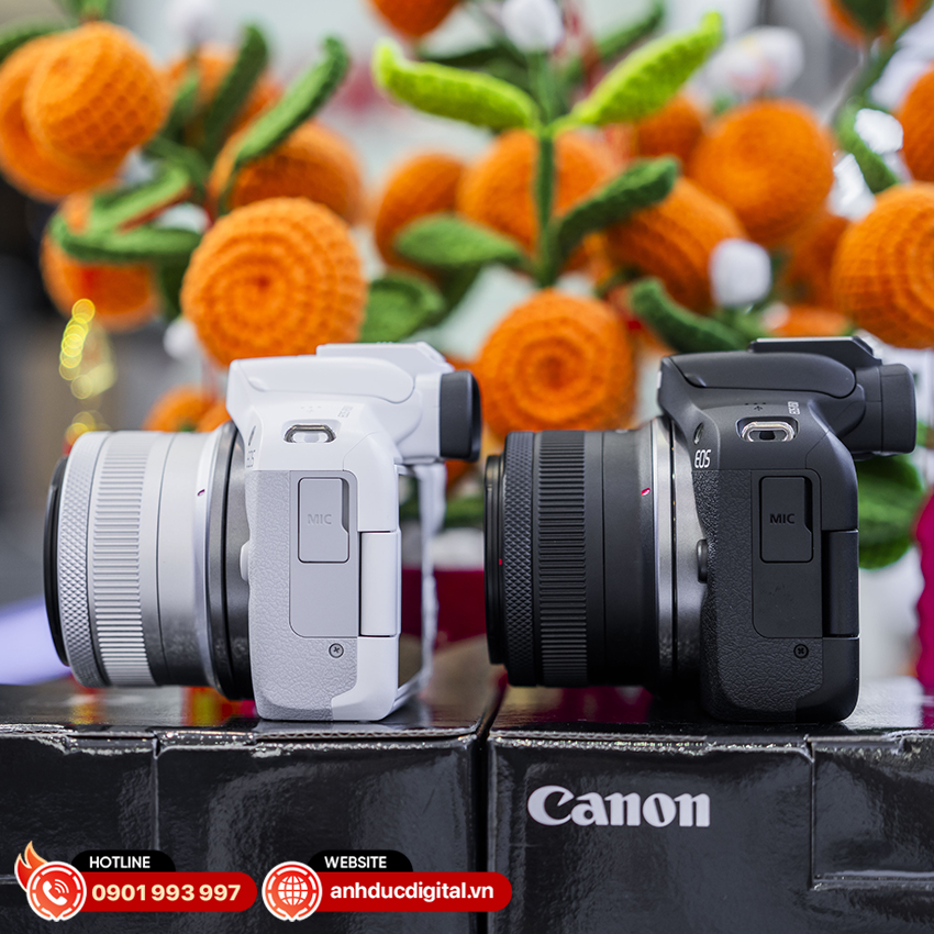 Canon R50 08