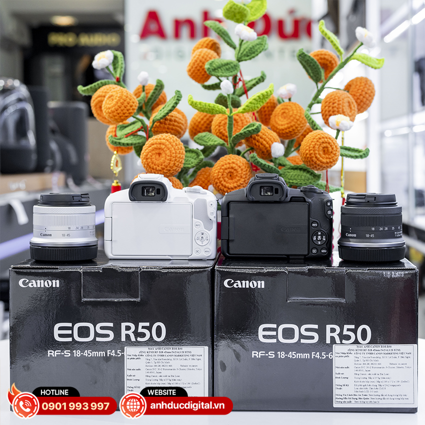 Canon R50 12