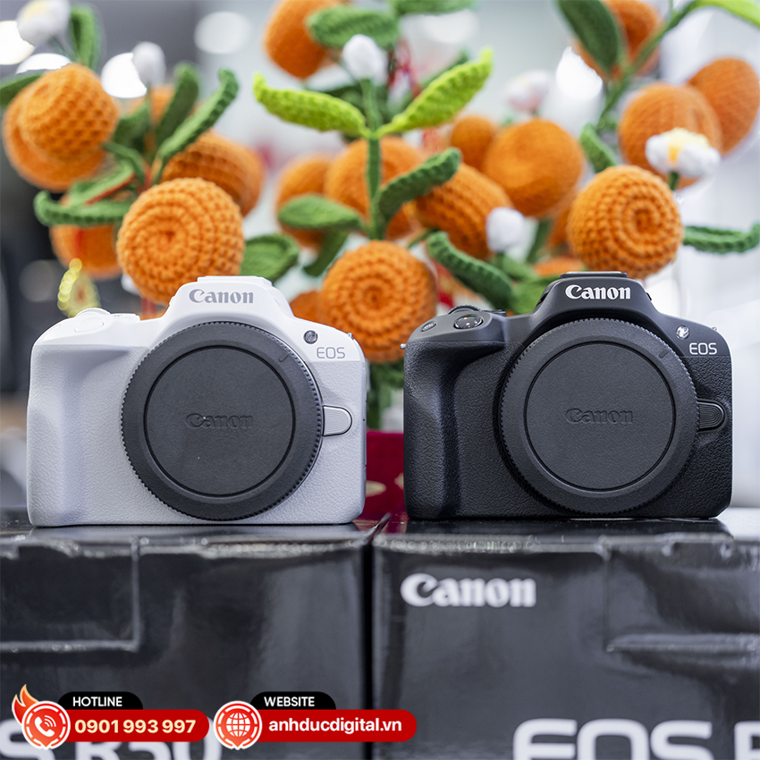Canon R50 14