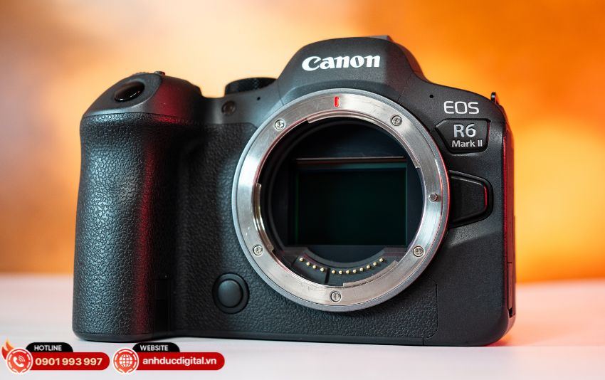 Cảm biến 32.5MP và bộ xử lý DIGIC X cho hình ảnh chi tiết, màu sắc trung thực