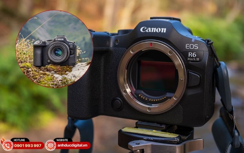 Bảng so sánh chi tiết Canon EOS R6 III và Canon EOS R6 Mark II