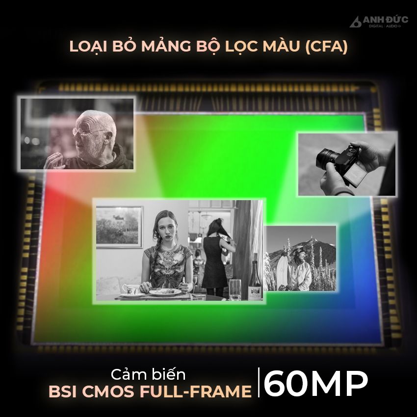 Leica M11 Monochrom - Cảm biến