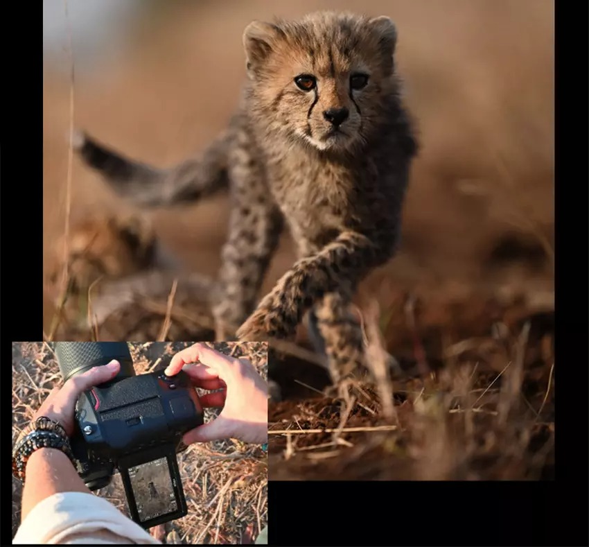 Màn hình xoay lật