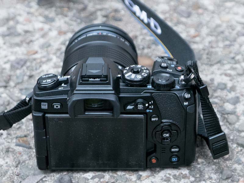 Olympus OM-D E-M1 Mark II 11