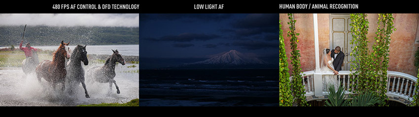 Panasonic Lumix S1R 7