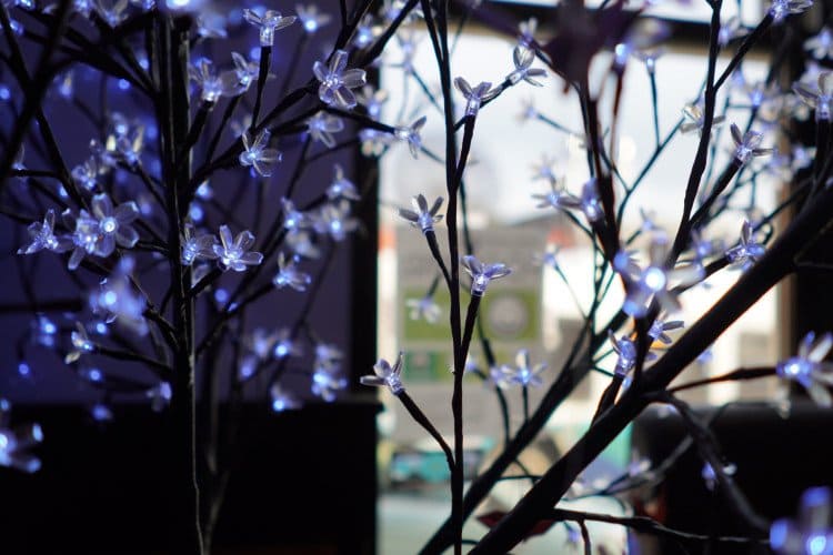 hình ảnh được chụp bởi máy ảnh Sony Alpha A6400