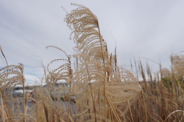 hình ảnh được chụp bởi máy ảnh Sony Alpha A6400