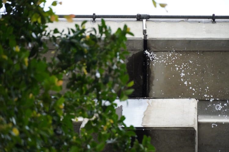 Fast Hybrid AF khi quay phim