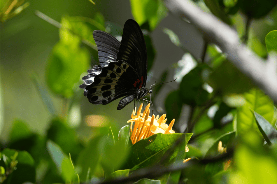 screenshot-20260227-161114