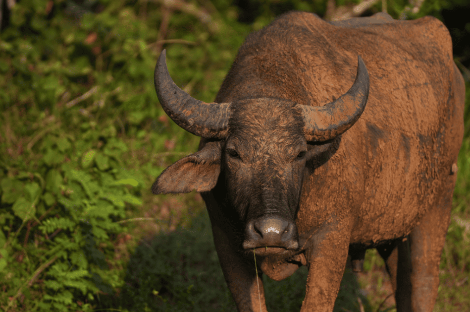 screenshot-20260227-161151