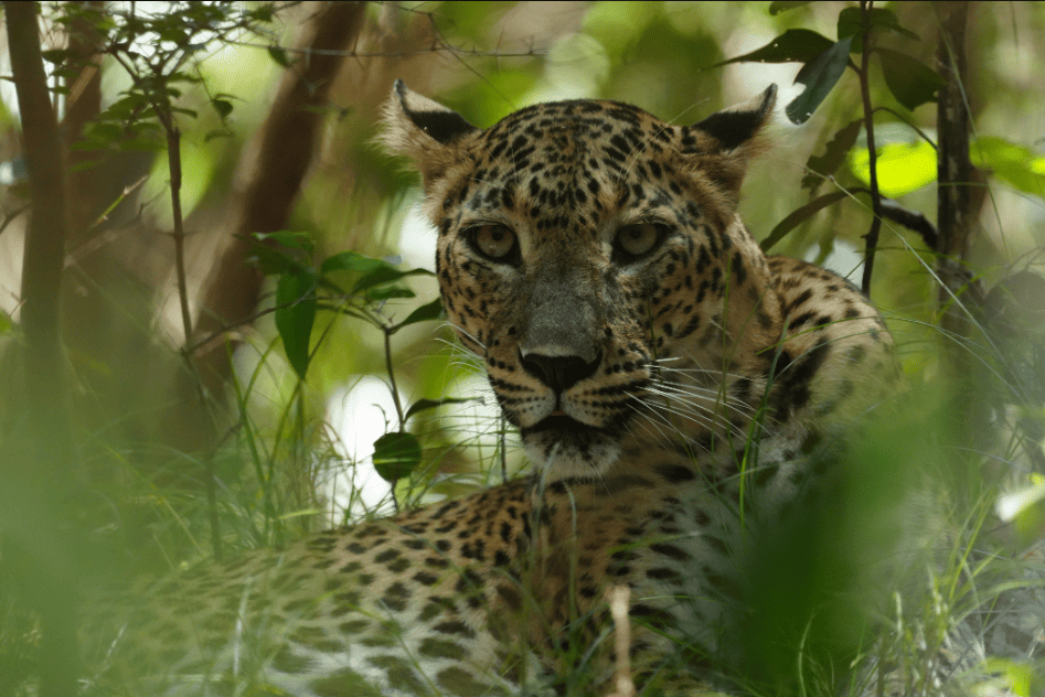 screenshot-20260227-161202