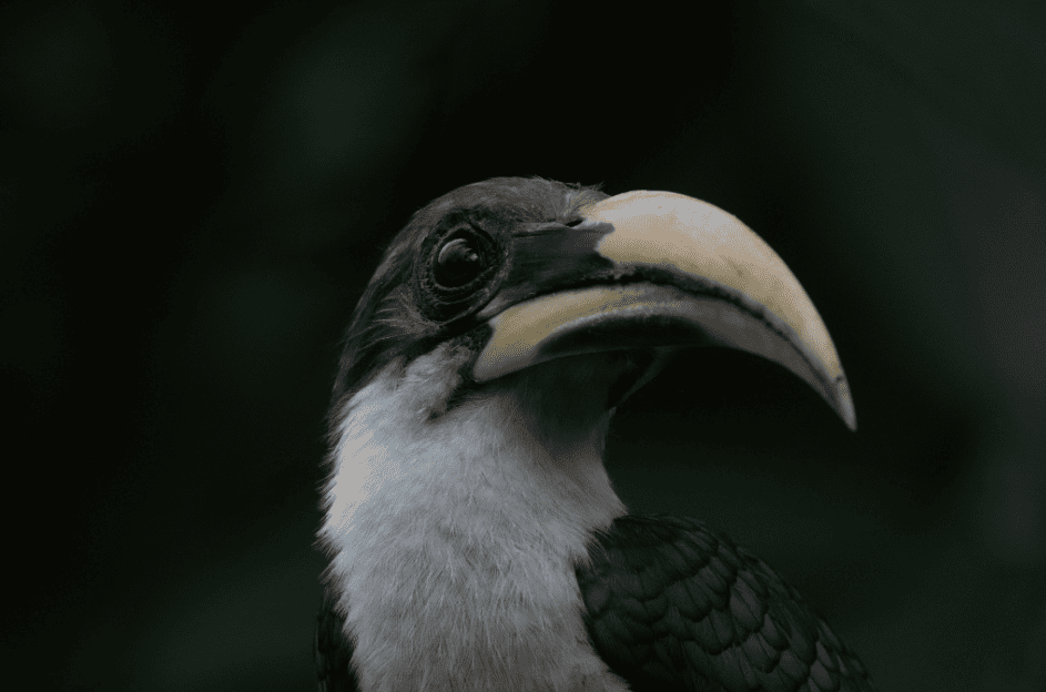 screenshot-20260227-161221