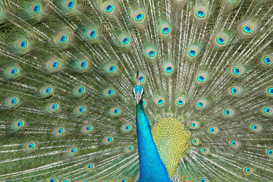 screenshot-20260227-161230