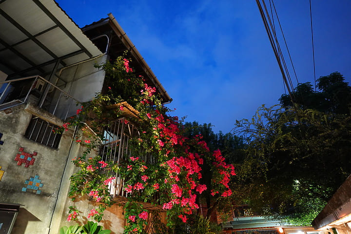 H&igrave;nh ảnh chụp bởi Sony Alpha A7C