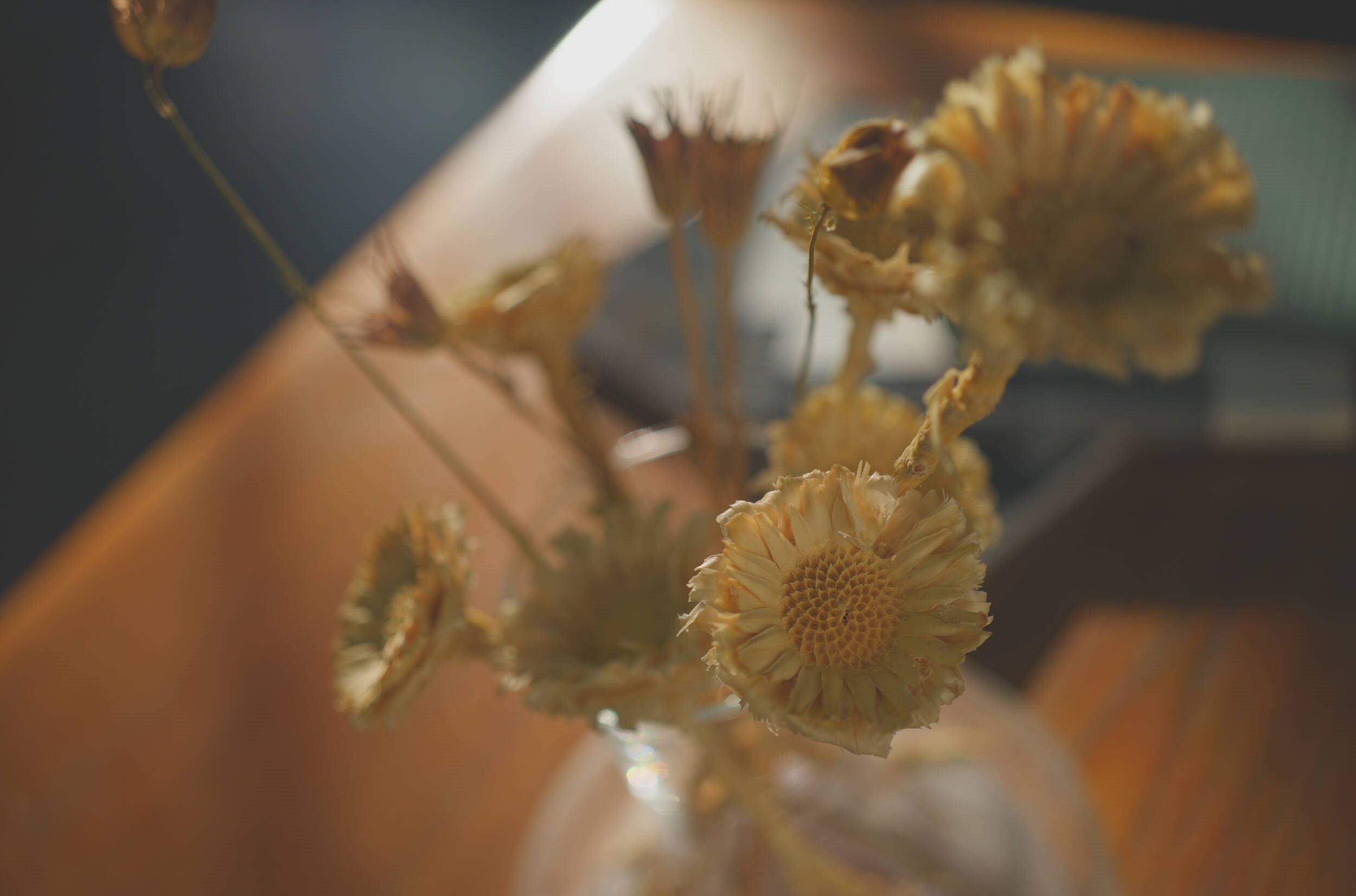 h&igrave;nh ảnh chụp bởi sony a7cII